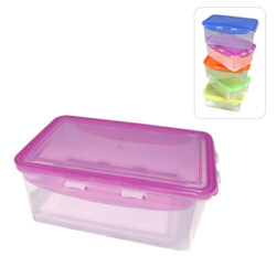 Tupperware Container